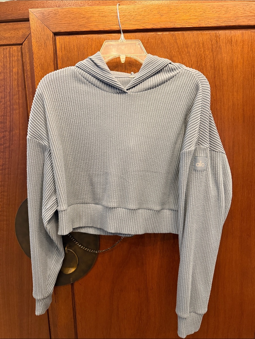 ALO Yoga Ribbed Cropped Hoodie in Light Blue